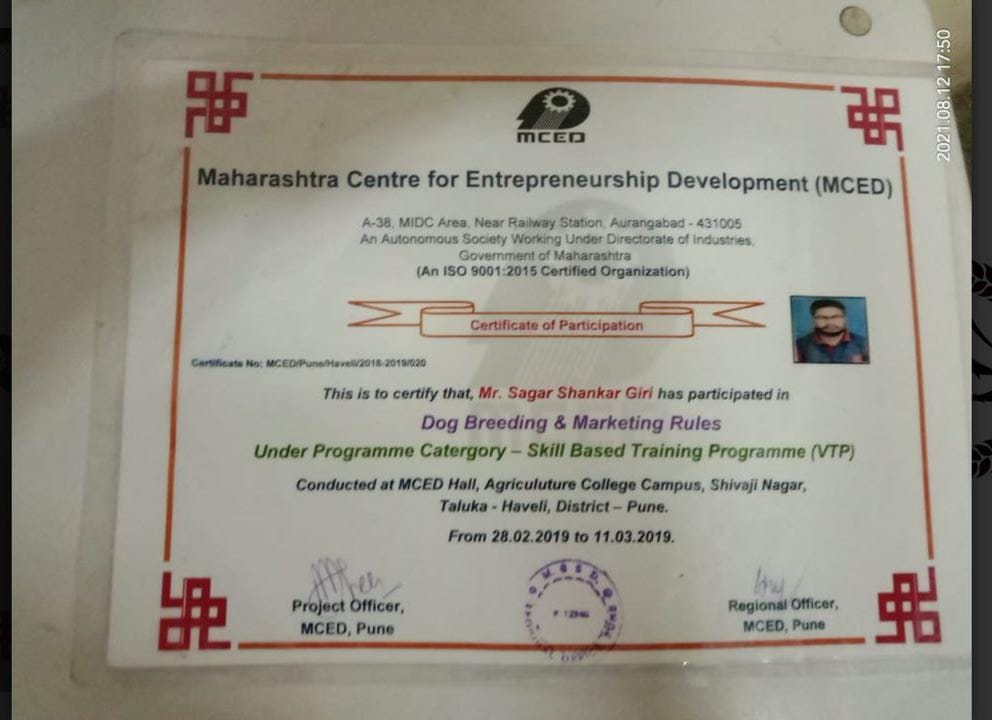 Certificate 1