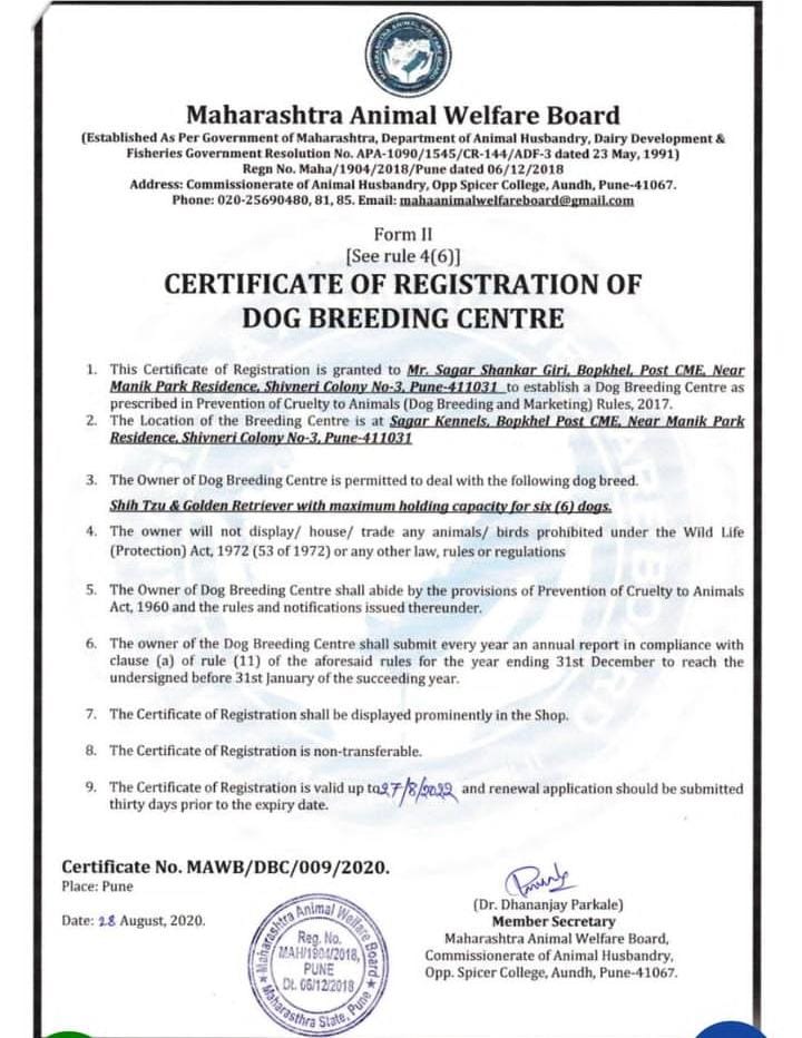 Certificate 2